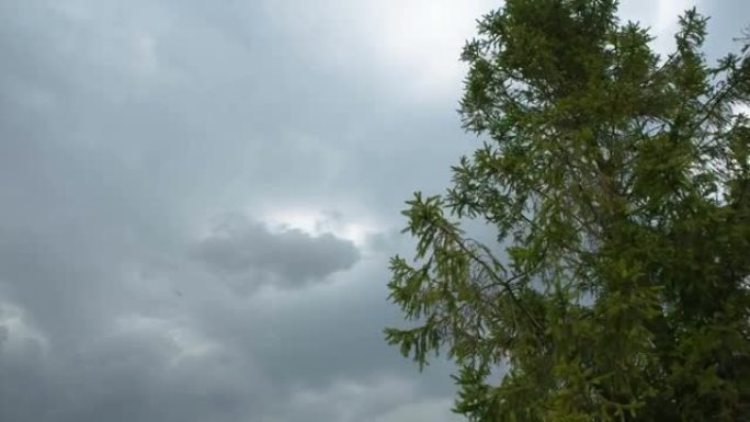 雨前阵风