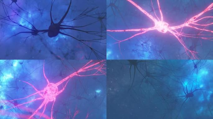 神经元和突触活动的动画。外太空中的神经连接，放射性，神经递质，大脑，轴突。电脉冲传递信号。思维概念。