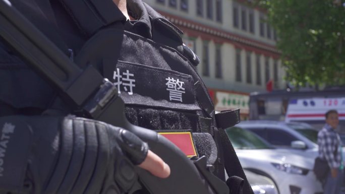 枪支 盾牌 中国警察 中国精神 安保