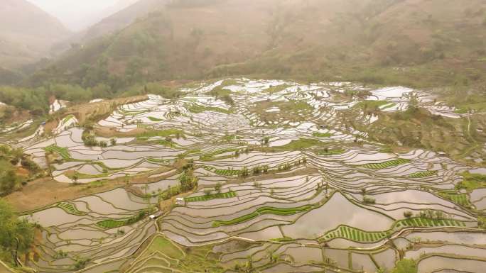 元阳梯田老虎嘴景区B