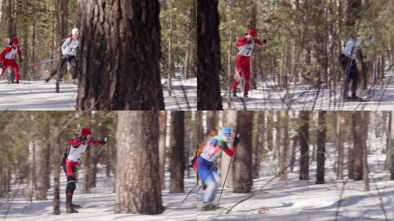 冬季两项运动员在森林中滑雪