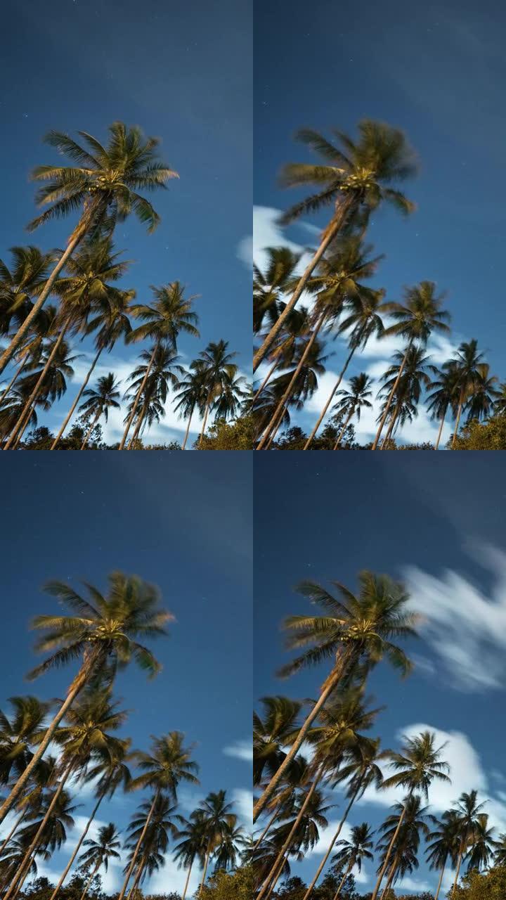 夜景中带有移动云的椰子树的时间流逝