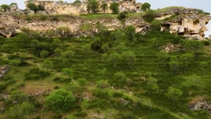 空中峡谷视图，大峡谷鸟瞰图，空中山谷视图，峡谷内的树木和山脉，背景视频