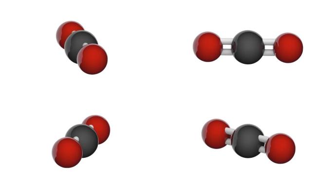 二氧化碳 (CO2)。无缝循环。