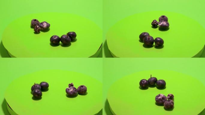 变质的蓝莓分离色谱模具分解储存