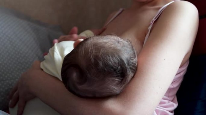 母亲在沙发上母乳喂养新生婴儿。母乳是婴儿的天然药物。家庭、食物、孩子、饮食和父母观念。慢动作