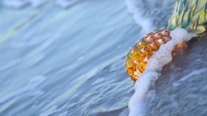 菠萝在海滩上被海浪抛下