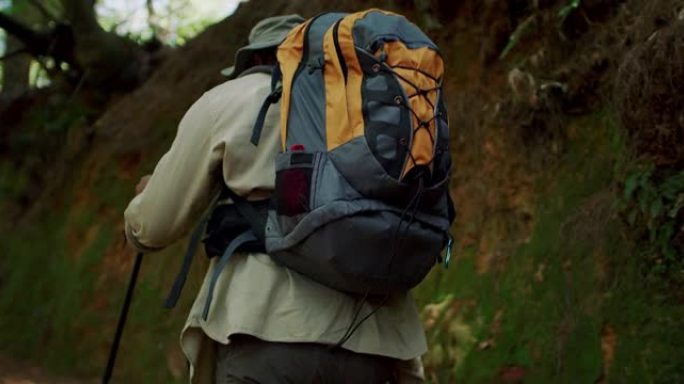 一个英俊的成熟男人白天独自徒步穿越森林的4k视频片段