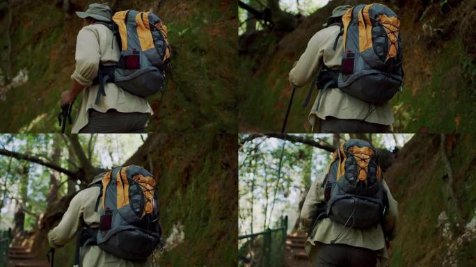 一个英俊的成熟男人白天独自徒步穿越森林的4k视频片段