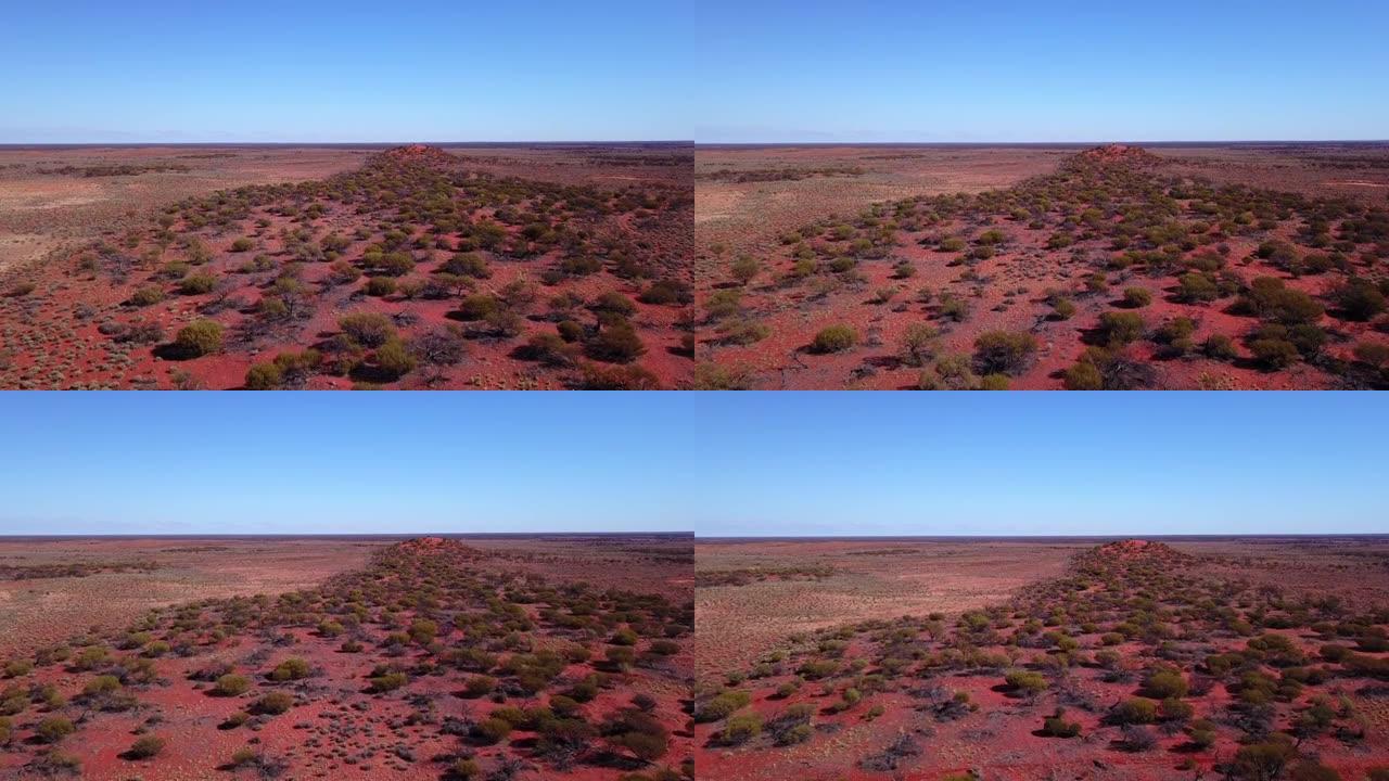 澳大利亚沙漠中发育不良的树木的孤立树林