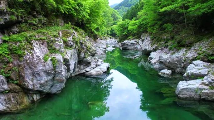 流经德岛县三好市的伊雅川的美丽初夏景色