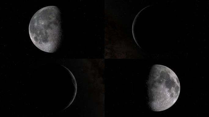 一个月球周期中的月相