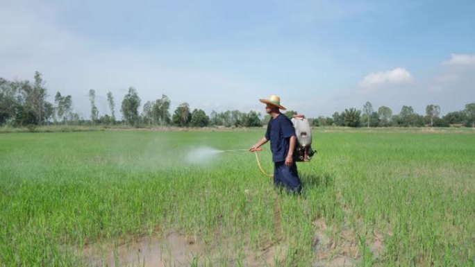 稻田上的农民喷雾器除草剂