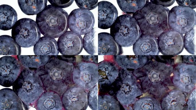 在白色背景上粉碎和挤压大量蓝莓的4k宏视频。有机食品和健康营养的完美抽象背景。浆果特写