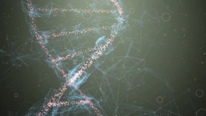 DNA分子遗传科学生物技术