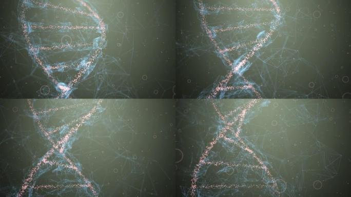 DNA分子遗传科学生物技术