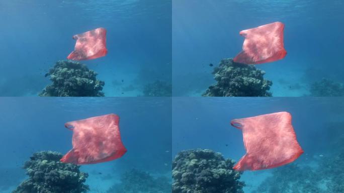 红色塑料购物袋在蓝色海水中的珊瑚礁附近与五颜六色的热带鱼群一起慢慢游泳。海洋的塑料污染。塑料垃圾环境