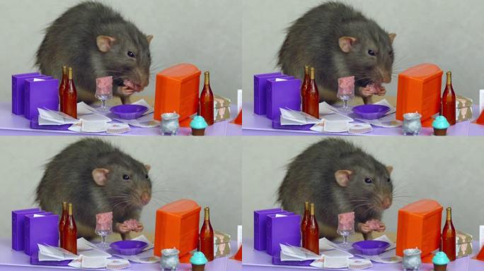 办公室老鼠在娃娃的办公室桌子上吃饭