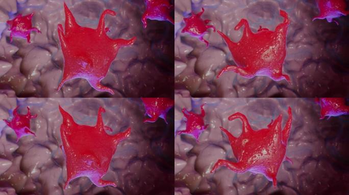 动画血小板，血细胞，3d渲染