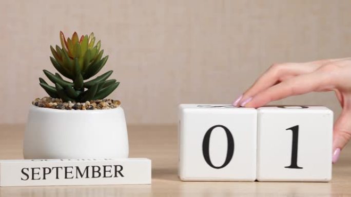 木制日历对9月1日来说是一个重要的事件，女人的手在日历上设置日期。秋季。