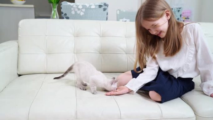 有趣的小女孩用手掌坐在沙发上喂养小猫。涅夫斯基化妆舞会猫
