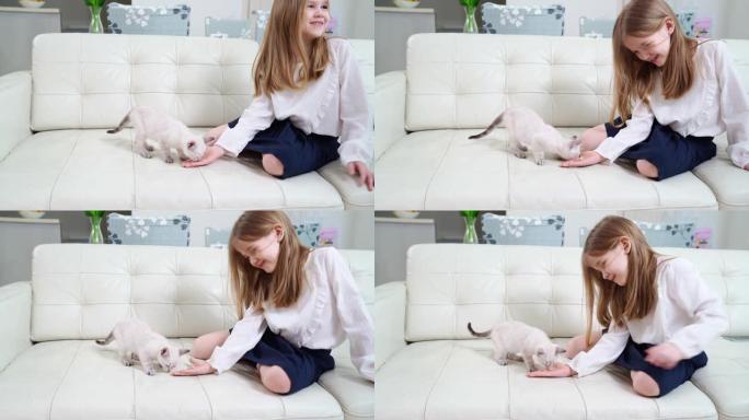 有趣的小女孩用手掌坐在沙发上喂养小猫。涅夫斯基化妆舞会猫