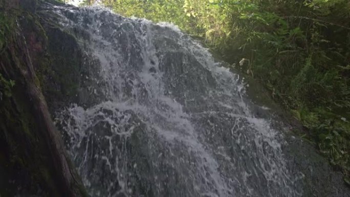 森林瀑布落在覆盖着苔藓的岩石上。山溪沿岸的植被。水散落在飞溅和小喷流中