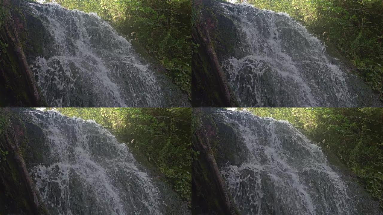森林瀑布落在覆盖着苔藓的岩石上。山溪沿岸的植被。水散落在飞溅和小喷流中