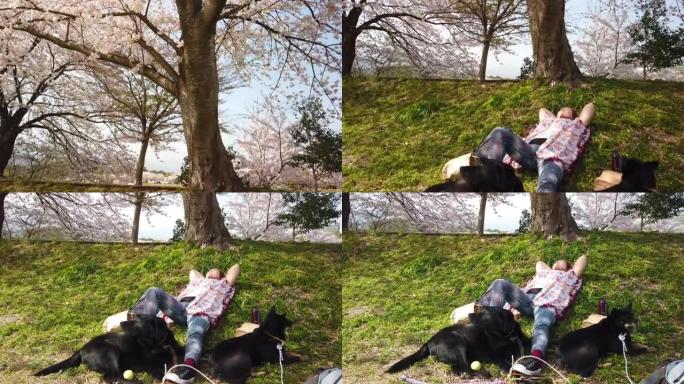 女人躺在樱花树下的草地上相机倾斜