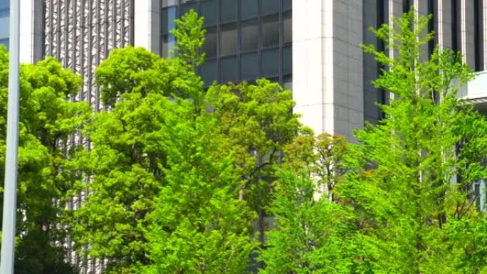 现代办公楼和树木绿化写字楼CBD
