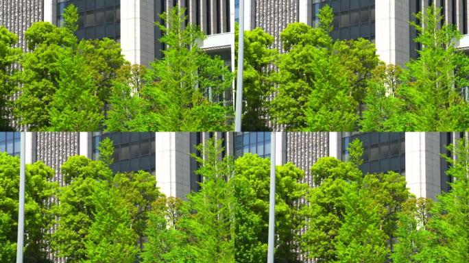 现代办公楼和树木绿化写字楼CBD