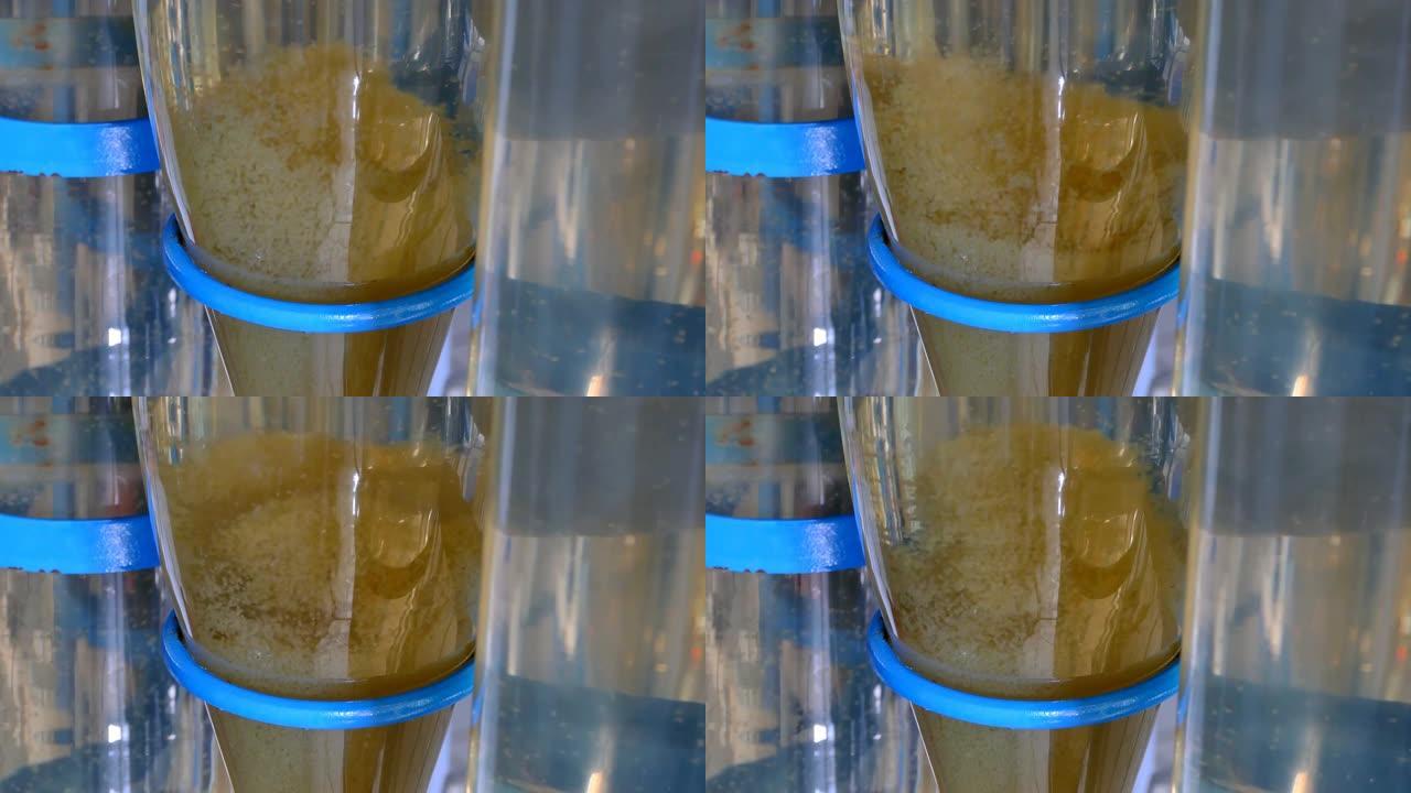 人工产卵鱼孵化器鱼籽视视频素材