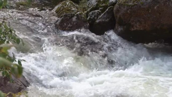 狭窄的石渠中强大的水流。河流沸腾，在悬崖之间流动。岩石上覆盖着苔藓和地衣。在绿叶灌木的岸边
