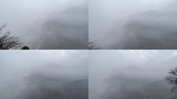 原创雨后缥缈山顶视频