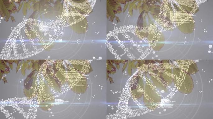 3d dna链旋转和分子漂浮在树上的动画