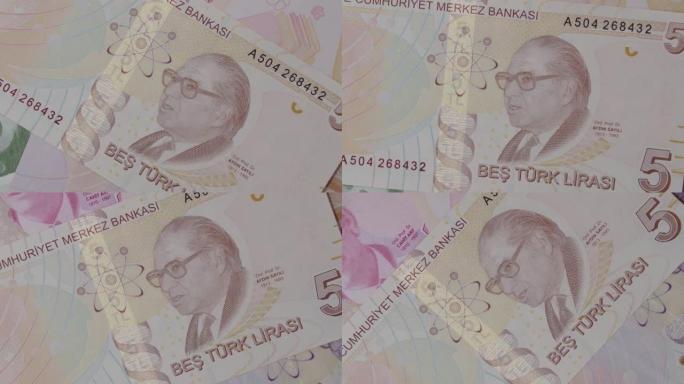 著名的科学史学家艾丁·萨利肖像来自土耳其5里拉钞票