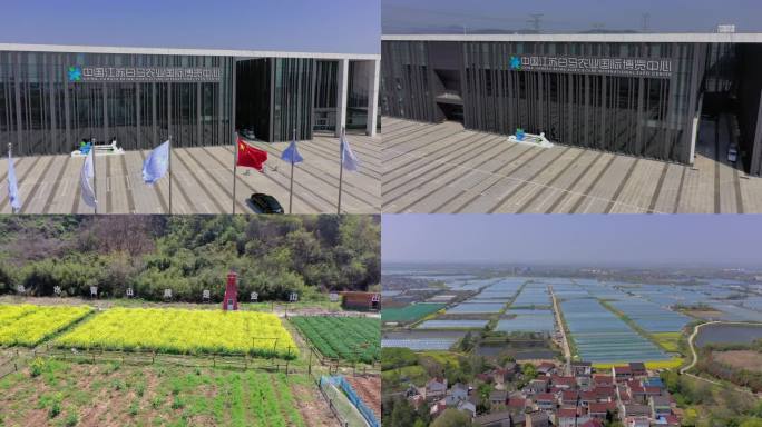 江苏省农业科学院，新农业溧水草莓，新农村