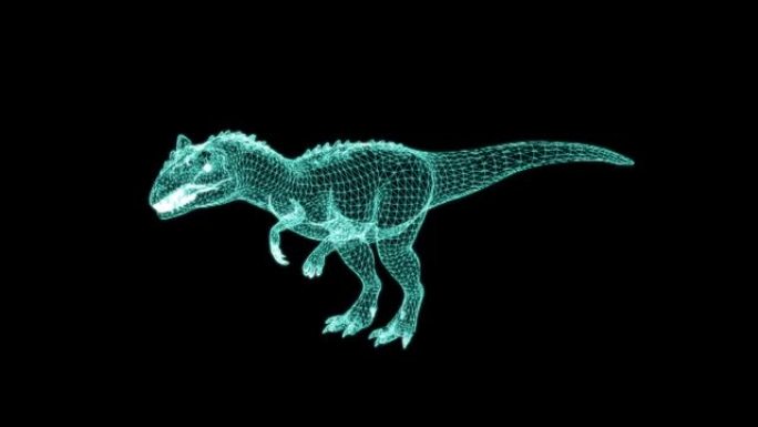 线框动画-在黑屏背景上行走的异特龙。恐龙世界