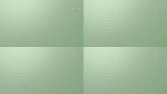 波浪图案和绿色日本纸背景材料 (摘要)