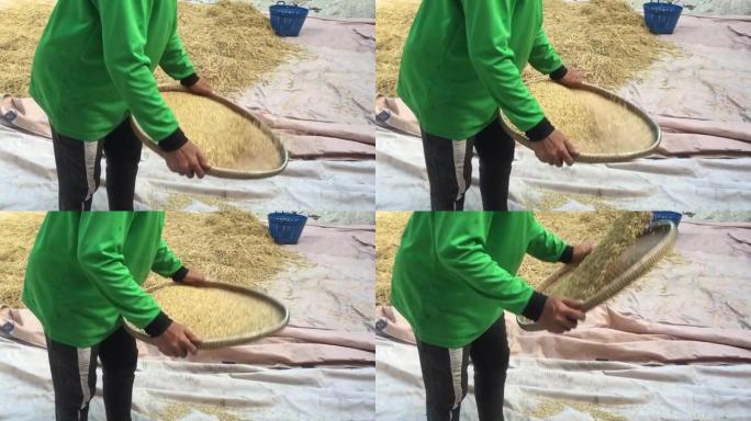 亚洲女农民在编织托盘上风选稻米，以在收获后去除谷壳