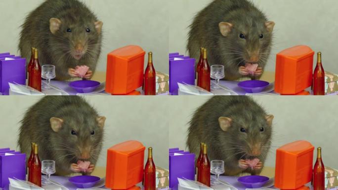 老鼠在洋娃娃办公室的商务午餐中