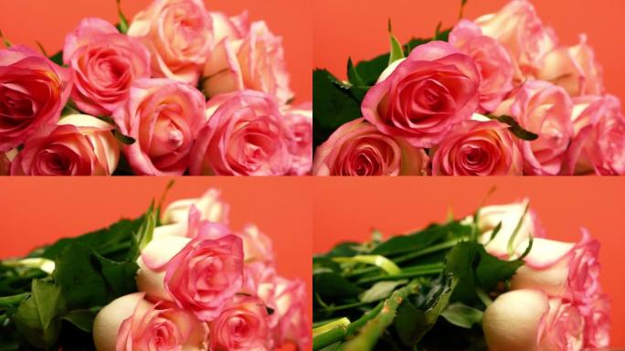 新鲜美味的粉红玫瑰花束的特写镜头在明亮的橙色背景上旋转。宏旋转姿势。花束的交付。选择性聚焦，浅景深