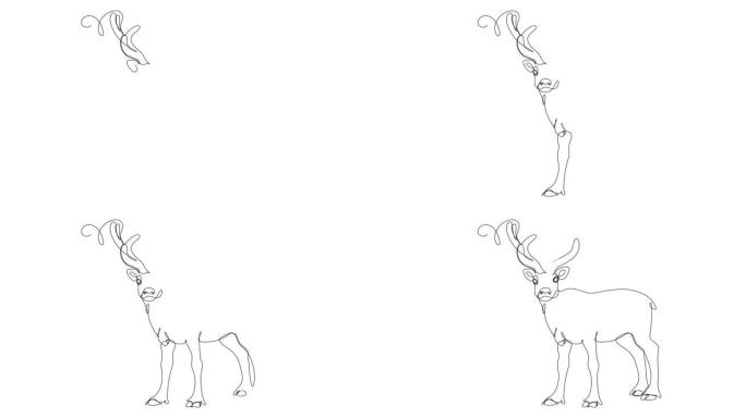 驯鹿连续线条画的自画动画。