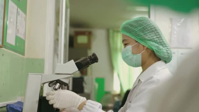 在实验室工作的科学家女性-股票视频