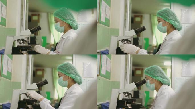 在实验室工作的科学家女性-股票视频