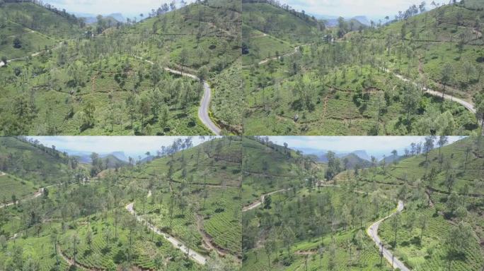 绿茶种植园和山坡上的空路