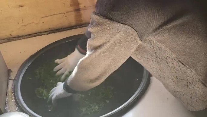 炒茶叶 传统工艺手工茶