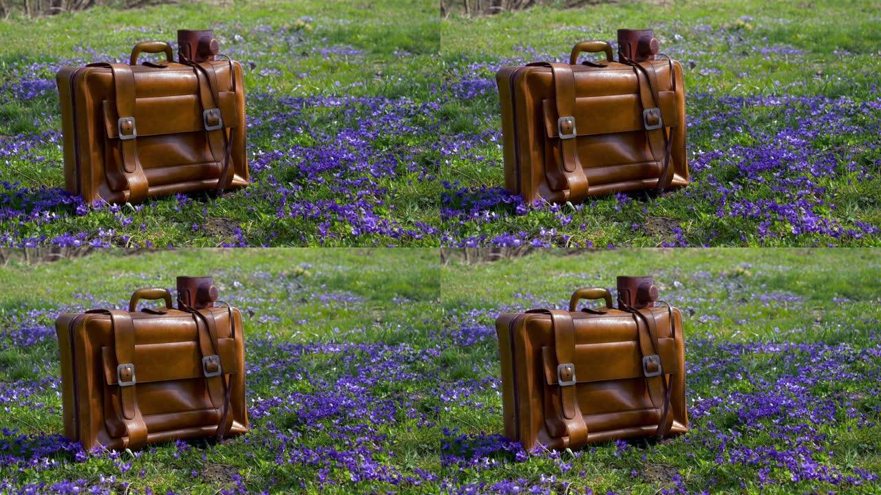 紫色花朵草地上的旧货手提箱和相机