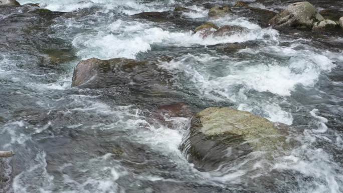 原始森林清澈溪涧流水