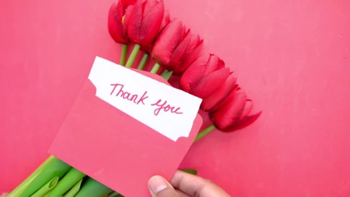 谢谢留言，信封o和ted背景上的红色郁金香花